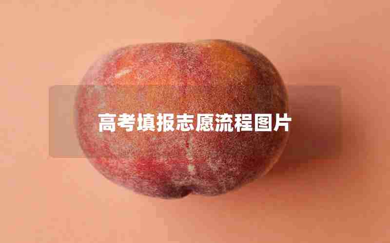 高考填报志愿流程图片