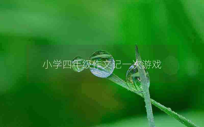 小学四年级作文记一次游戏