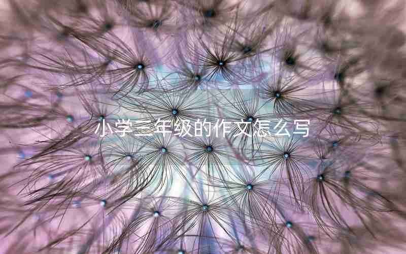 小学三年级的作文怎么写