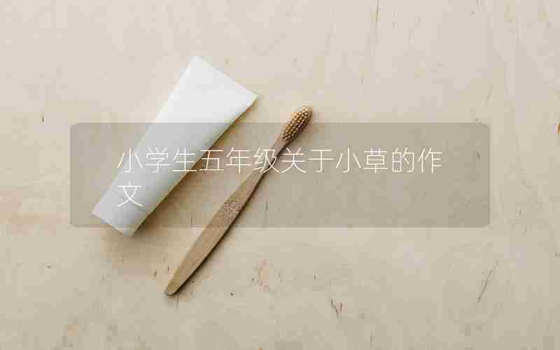 小学生五年级关于小草的作文