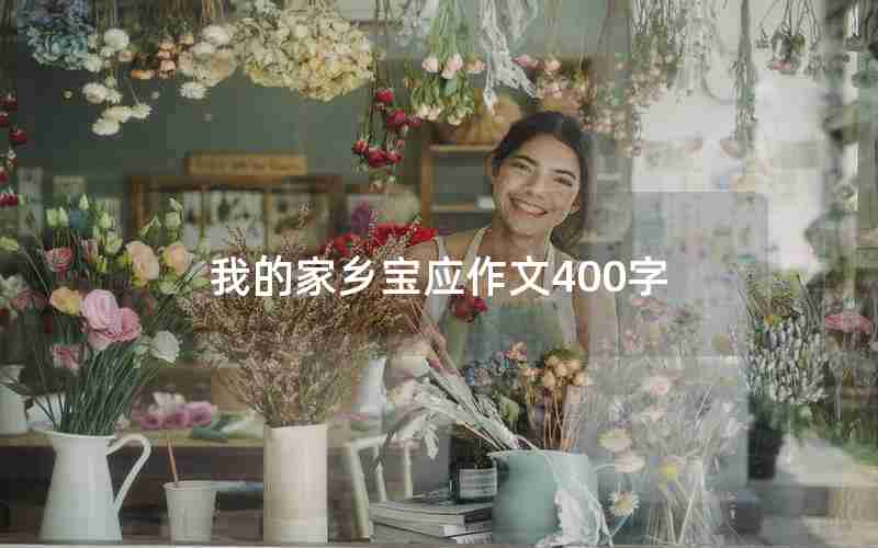 我的家乡宝应作文400字