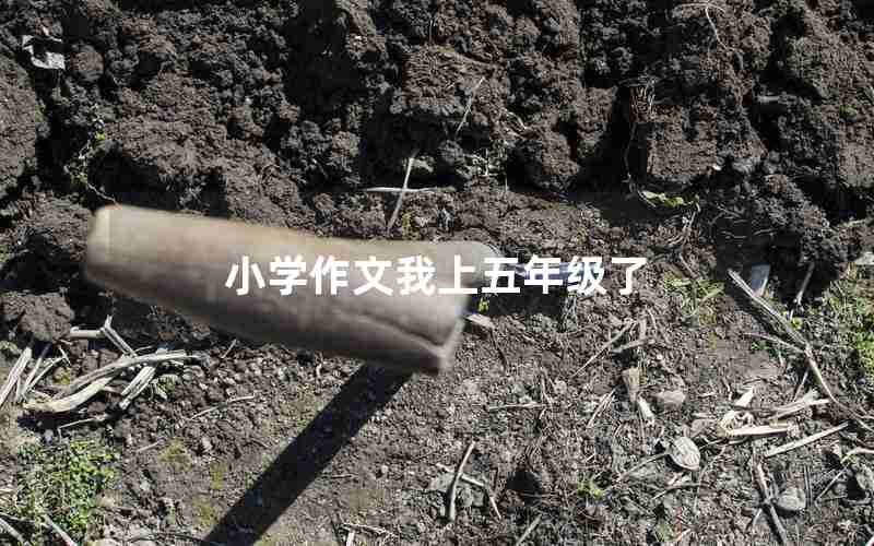 小学作文我上五年级了