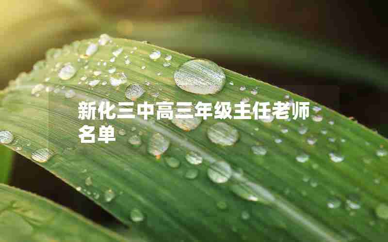 新化三中高三年级主任老师名单