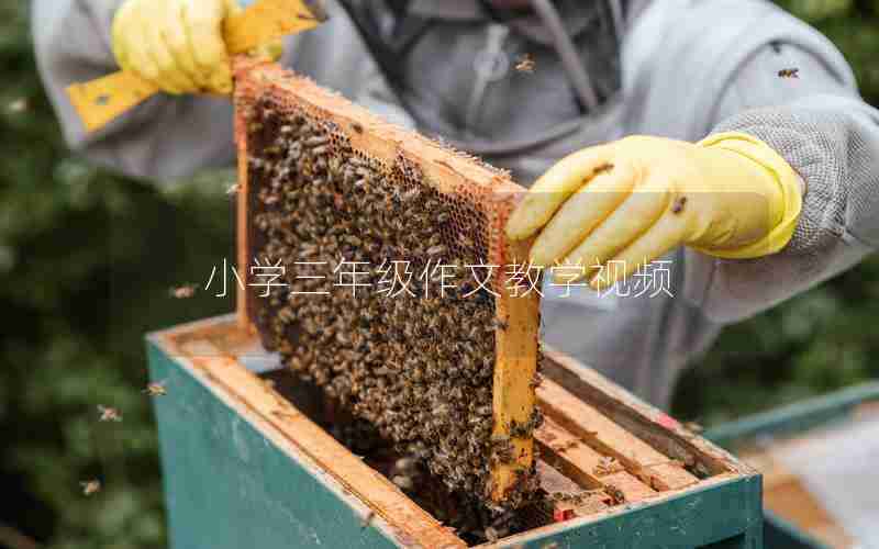 小学三年级作文教学视频