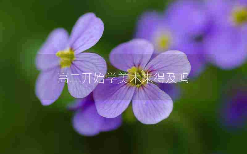 高二开始学美术来得及吗