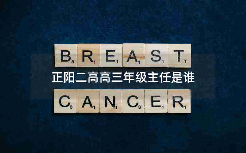 正阳二高高三年级主任是谁