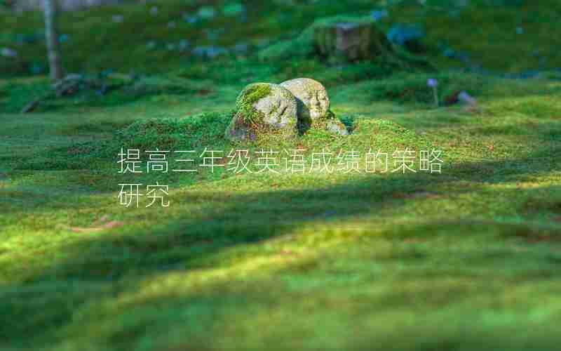 提高三年级英语成绩的策略研究