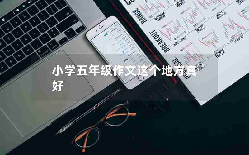 小学五年级作文这个地方真好