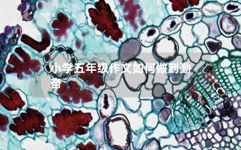 小学五年级作文如何做到勤奋
