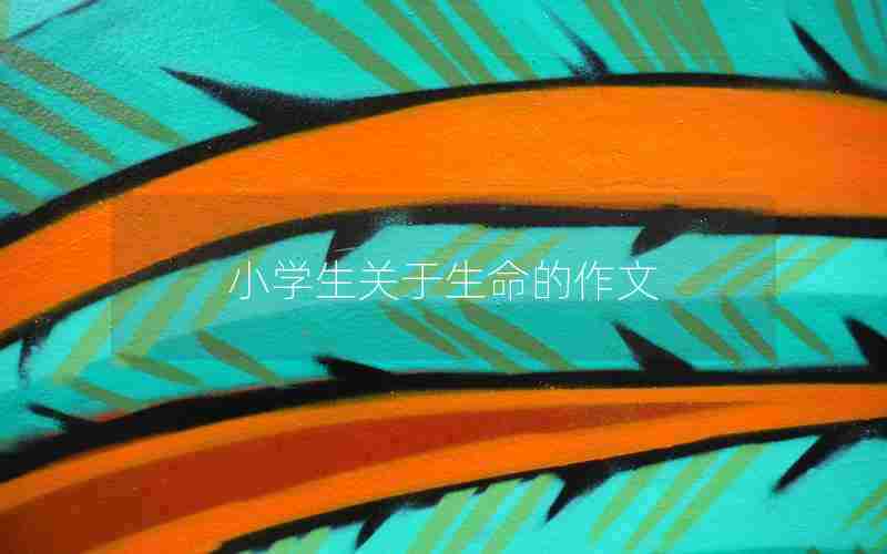 小学生关于生命的作文