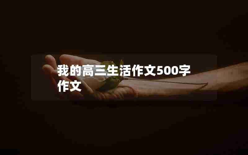 我的高三生活作文500字作文