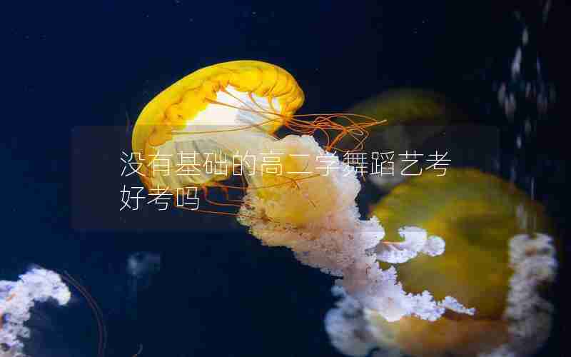 没有基础的高二学舞蹈艺考好考吗