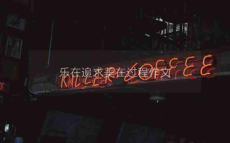 乐在追求美在过程作文
