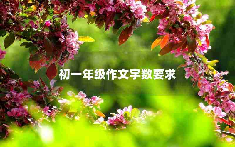初一年级作文字数要求