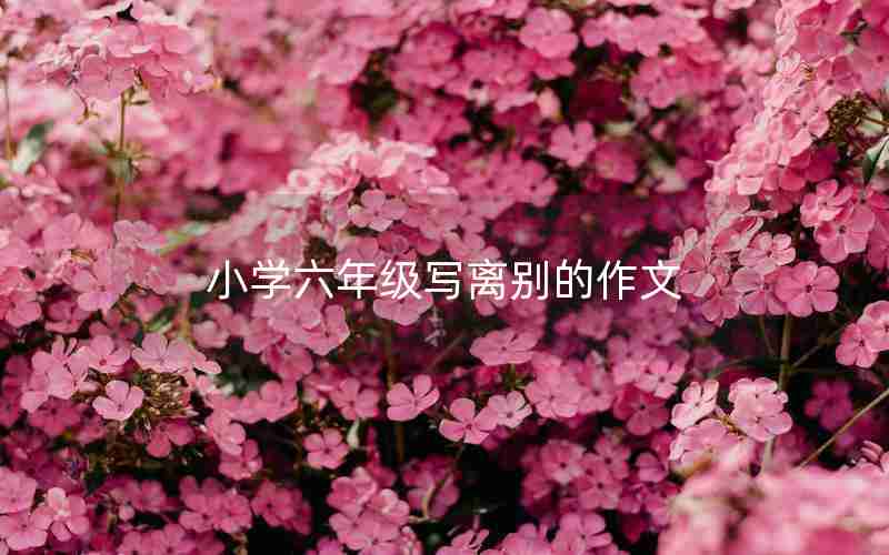 小学六年级写离别的作文