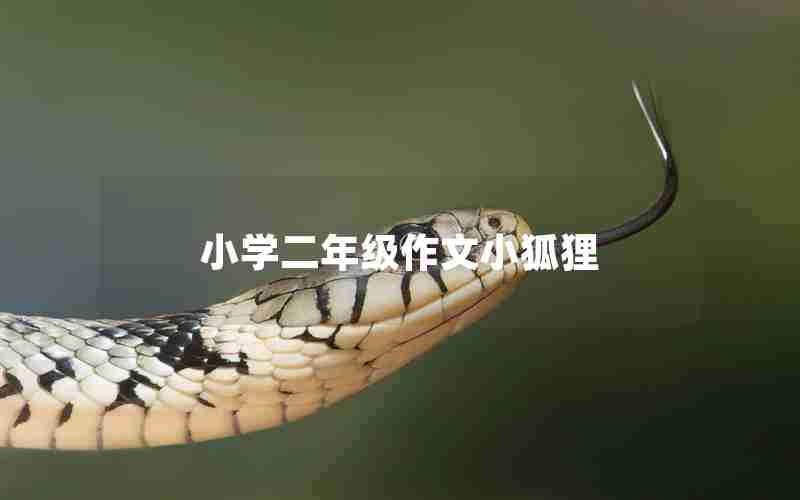 小学二年级作文小狐狸
