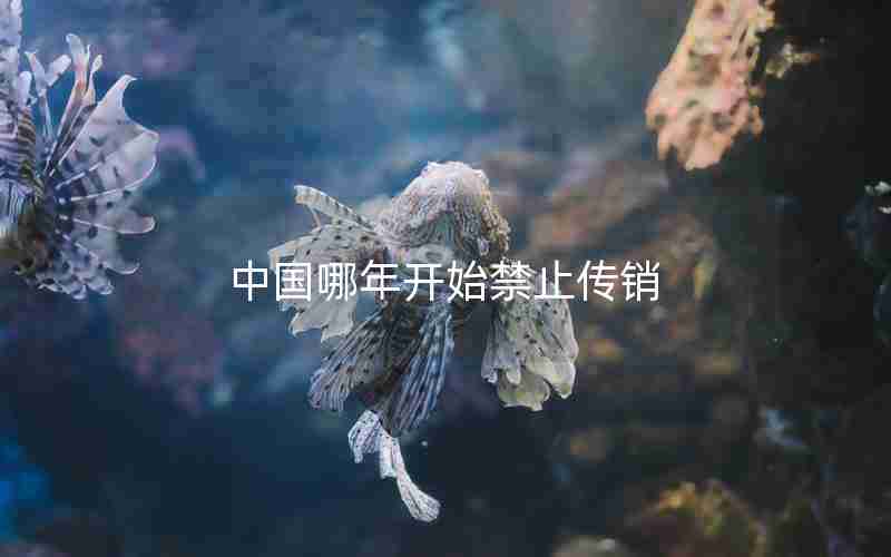 中国哪年开始禁止传销