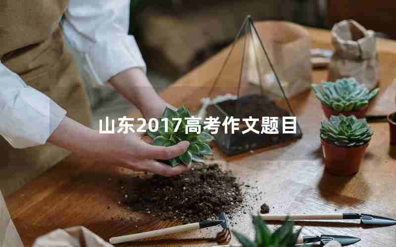 山东2017高考作文题目