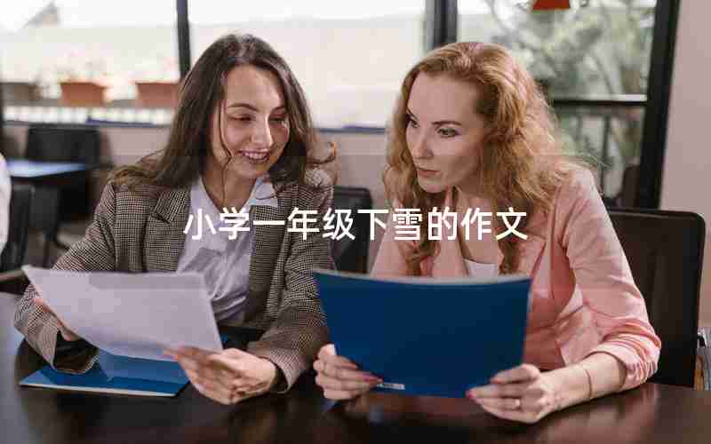 小学一年级下雪的作文