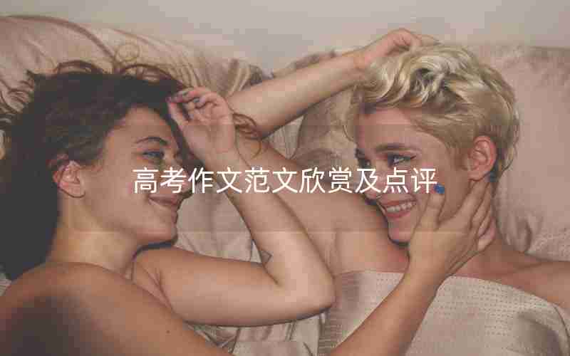 高考作文范文欣赏及点评
