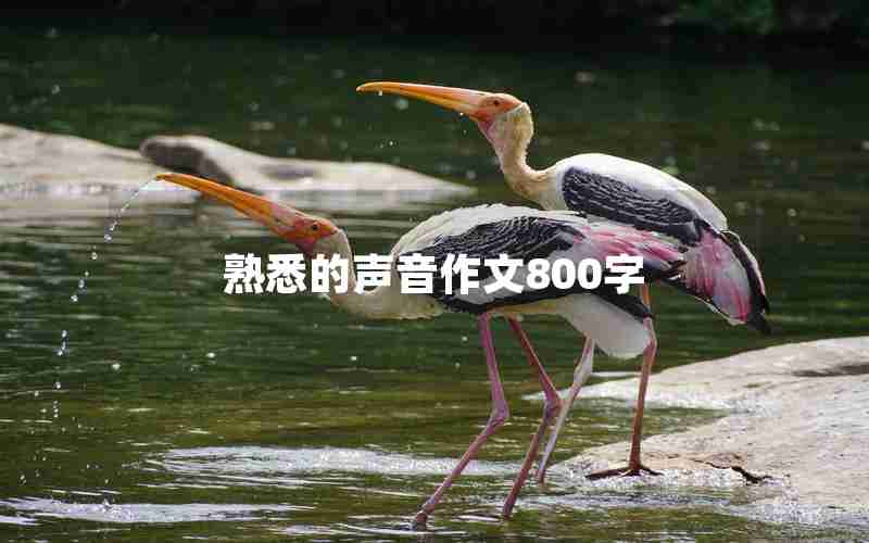 熟悉的声音作文800字
