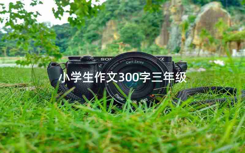 小学生作文300字三年级