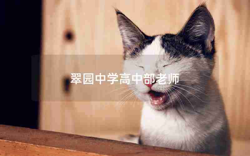 翠园中学高中部老师
