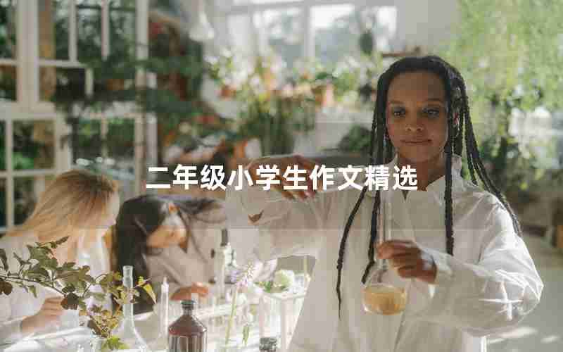 二年级小学生作文精选