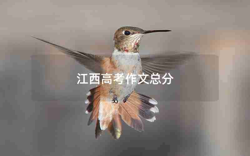 江西高考作文总分