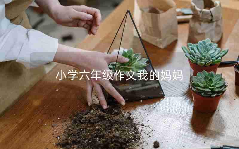 小学六年级作文我的妈妈