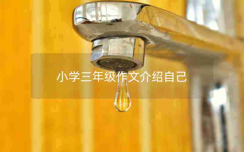 小学三年级作文介绍自己