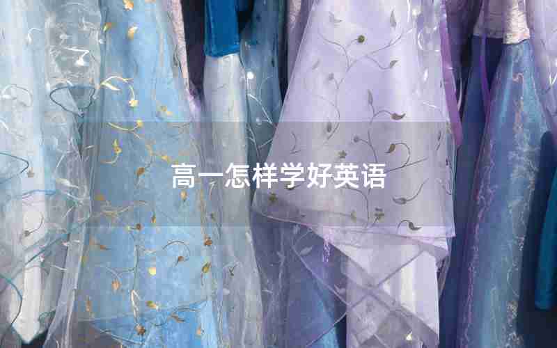 高一怎样学好英语