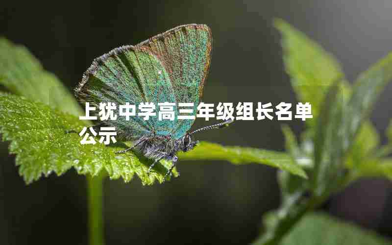 上犹中学高三年级组长名单公示