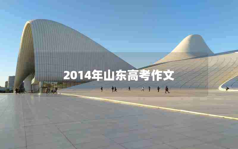 2014年山东高考作文
