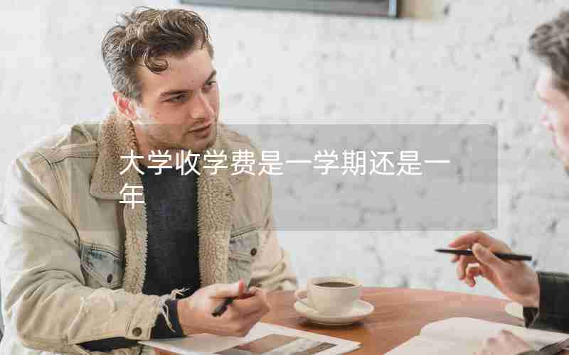 大学收学费是一学期还是一年