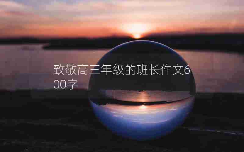 致敬高三年级的班长作文600字