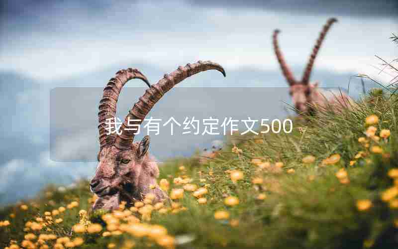 我与有个约定作文500