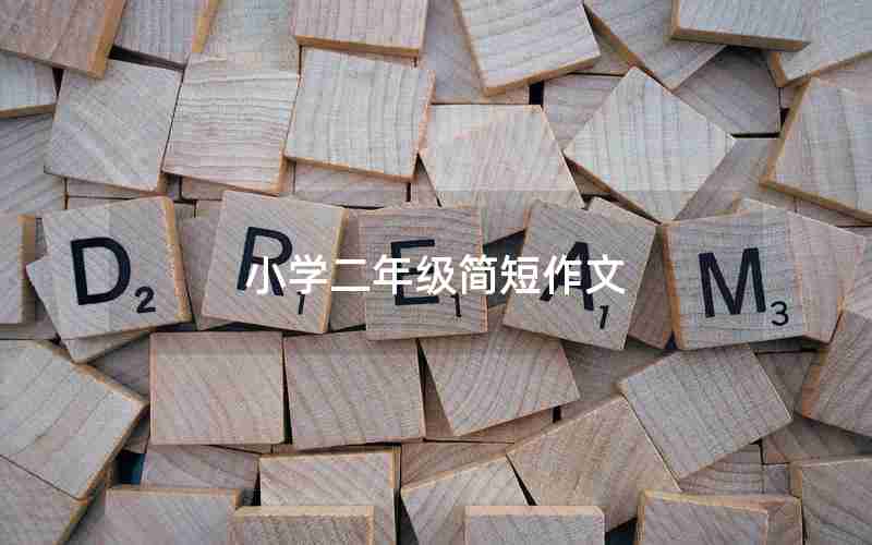 小学二年级简短作文
