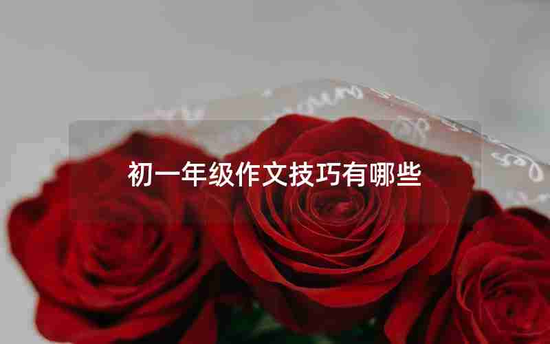 初一年级作文技巧有哪些