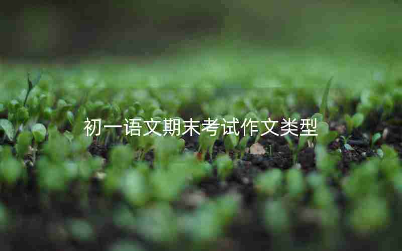 初一语文期末考试作文类型