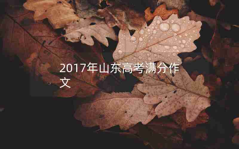 2017年山东高考满分作文