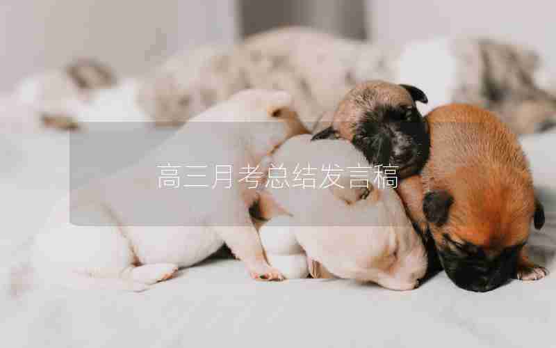 高三月考总结发言稿