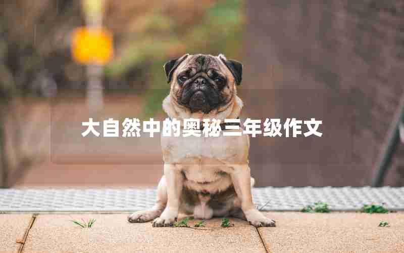 大自然中的奥秘三年级作文