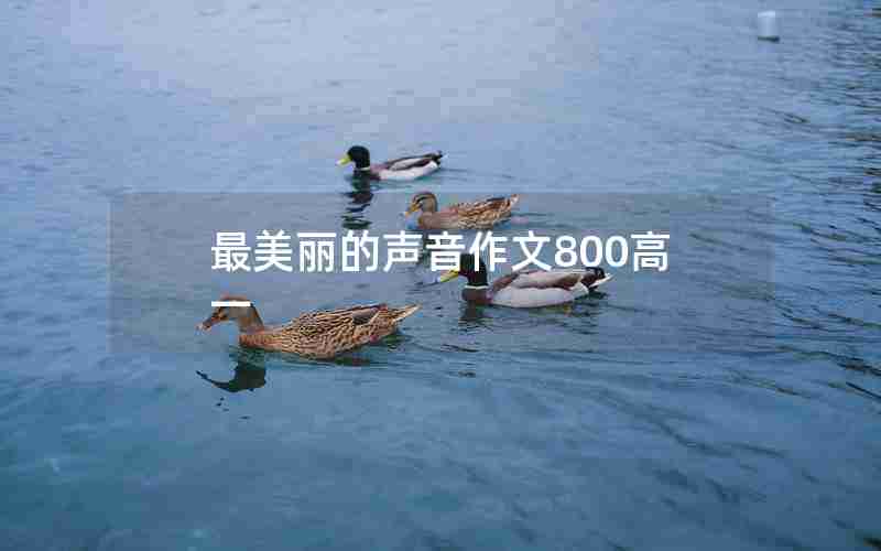 最美丽的声音作文800高一