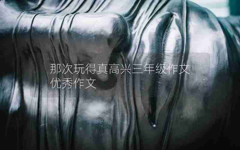 那次玩得真高兴三年级作文优秀作文