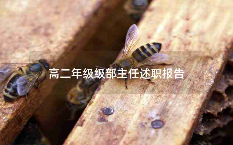 高二年级级部主任述职报告