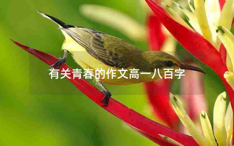 有关青春的作文高一八百字