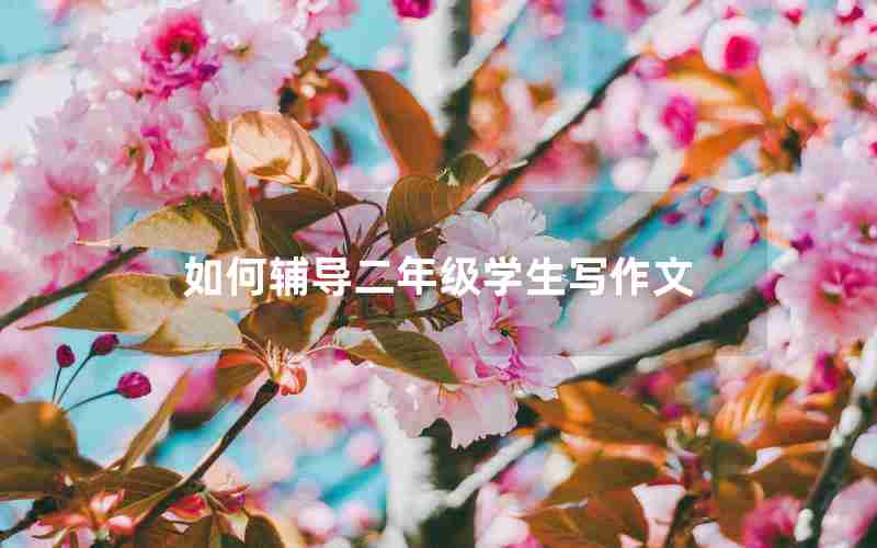 如何辅导二年级学生写作文