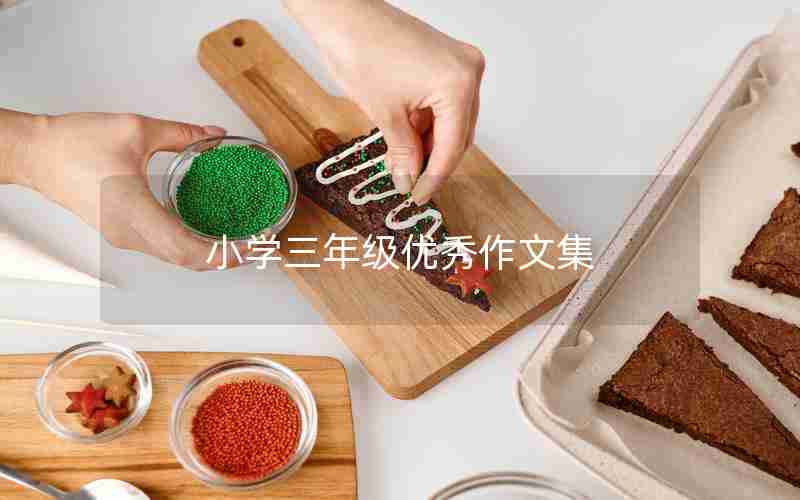 小学三年级优秀作文集