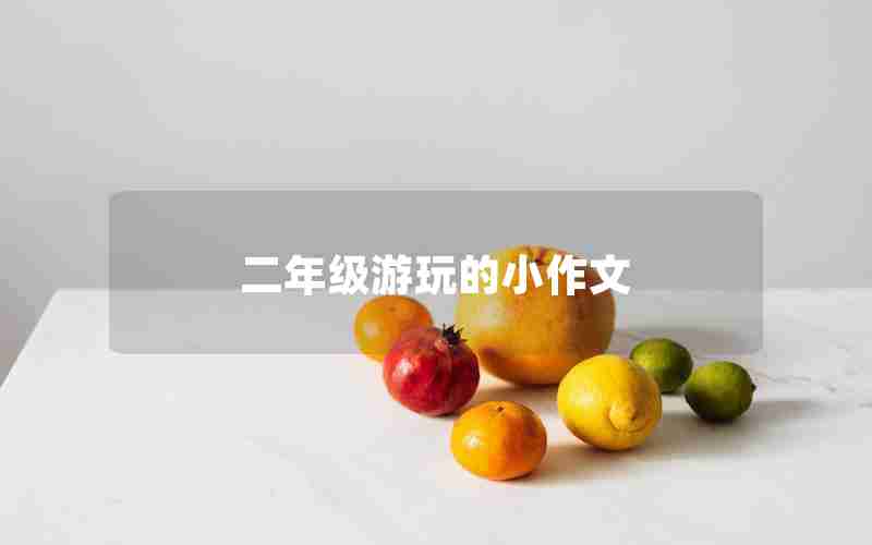 二年级游玩的小作文